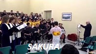 6_Sakura - Copia